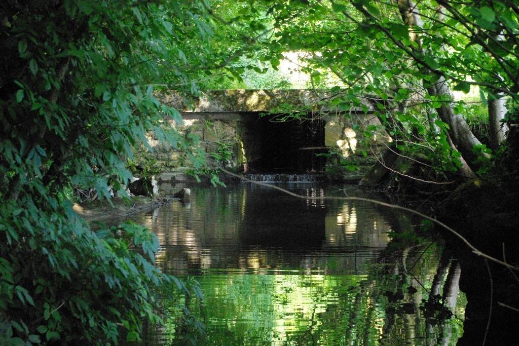 Moulin De Coupigny Villa Fontenille-Saint-Martin-d'Entraigues Værelse billede