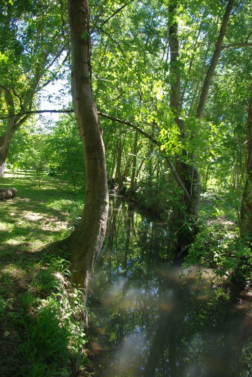 Moulin De Coupigny Villa Fontenille-Saint-Martin-d'Entraigues Værelse billede